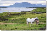 Muismat XXL - Bureau onderlegger - Bureau mat - Moeder paard en veulen in Ierland - 90x60 cm - XXL muismat