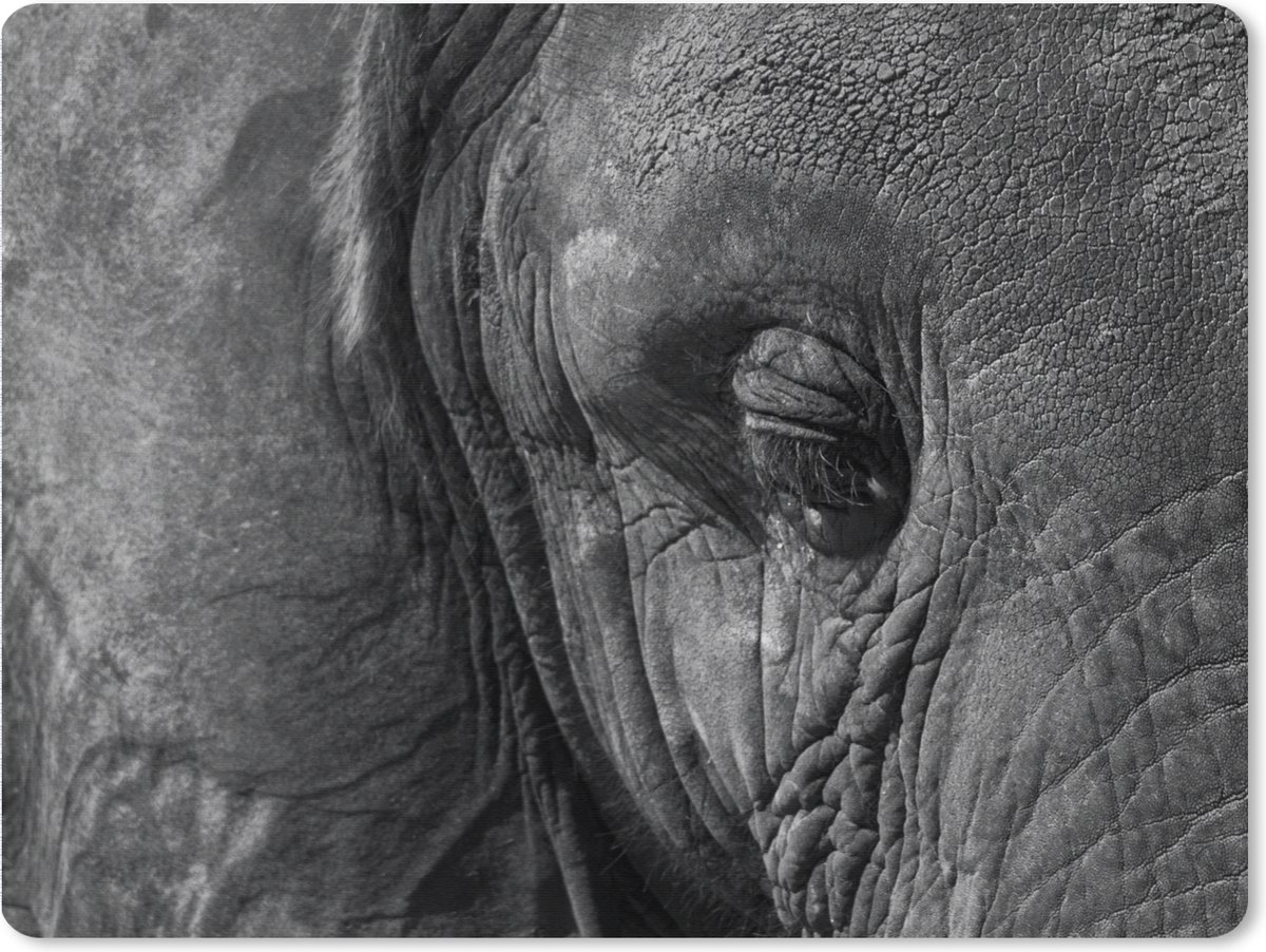 Muismat XXL 80x60 cm - Bureau onderlegger - Bureau mat Olifant - Dieren - Close up - Zwart wit - Bureaumat - Gaming mousepad xl - Bureaulegger groot - Computer deskmat