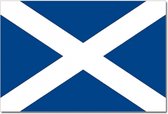 Vlag Schotland 90 x 150 cm