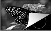 KitchenYeah® Inductie beschermer 78x52 cm - Blauwe Tijger vlinder - zwart wit - Kookplaataccessoires - Afdekplaat voor kookplaat - Inductiebeschermer - Inductiemat - Inductieplaat mat