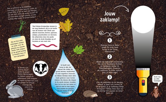 Illustratie van een zaklamp die op bladeren schijnt, met uitleg over dieren onder de grond.