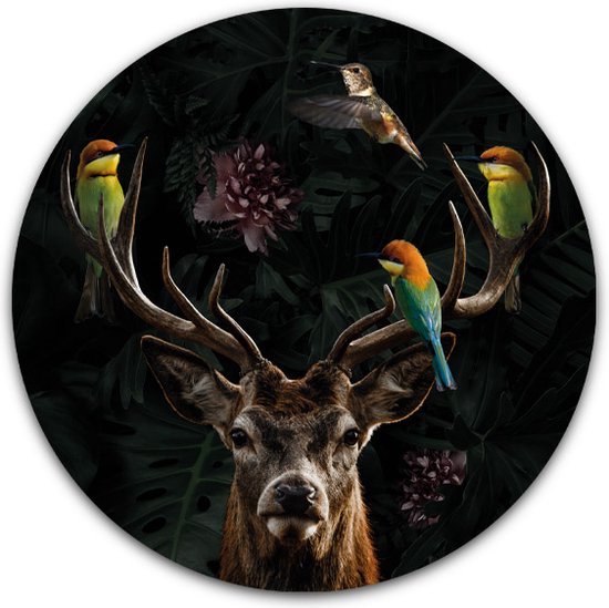 Wandcirkel Edelhert met kleurrijke vogels - WallCatcher | Acrylglas 100 cm | Rond schilderij | Muurcirkel Deer with Birds