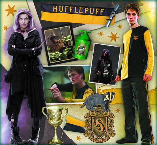 Puzzle 10 en 1 Trefl Harry Potter - 20/35/48 pièces