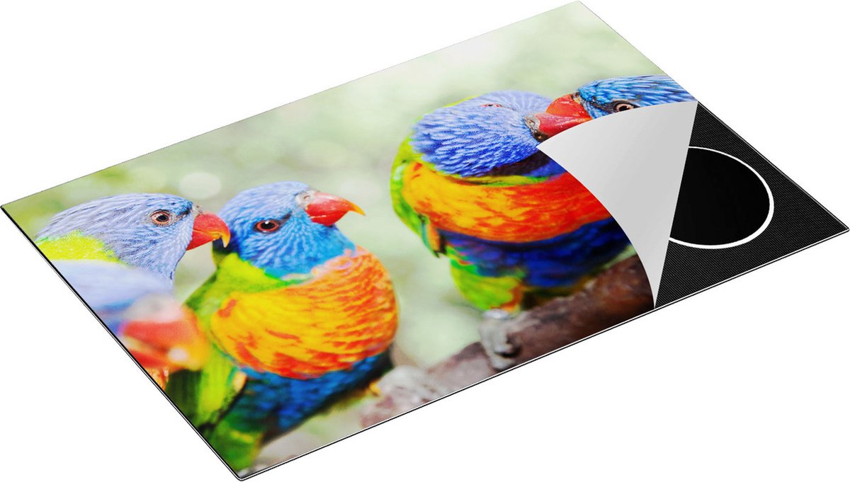 Chefcare Inductie Beschermer Vier Regenboog Lori Vogels op een Tak - 80x55 cm - Afdekplaat Inductie - Kookplaat Beschermer - Inductie Mat