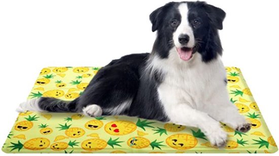 Polaza® Koelmat Voor Hond 50x90cm
