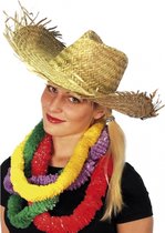 Toppers - 2x stuks hawaii of strandhoed voor volwassenen - Stro hoeden/feesthoeden/verkleed hoedjes