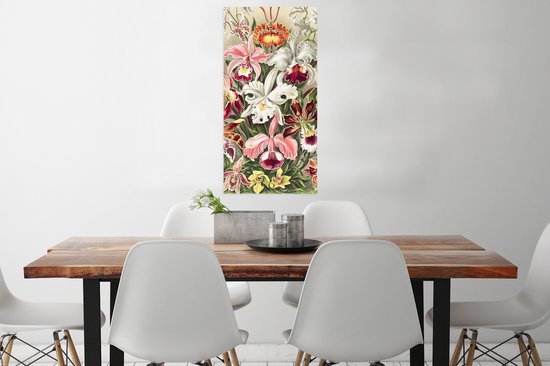 Affiche Fleurs - Ernst Haeckel - Vintage - Orchidée - 40x80 cm