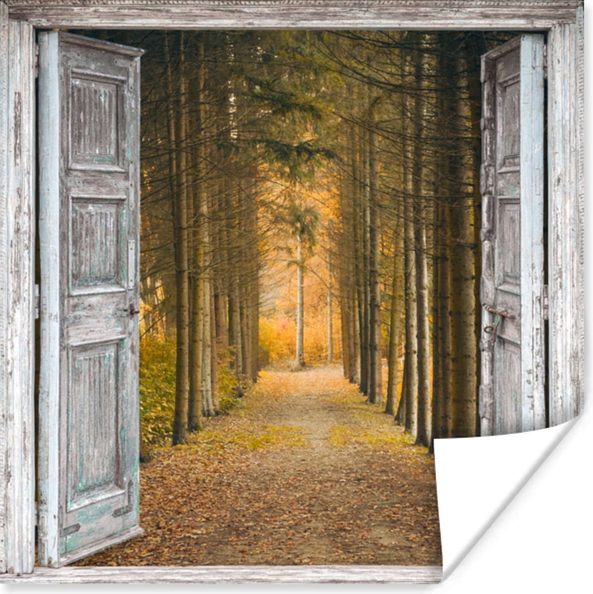 Poster Bos - Herfst - Doorkijk - 50x50 cm