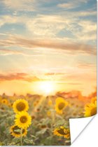 Affiche Tournesol - Soleil - Fleurs - 20x30 cm
