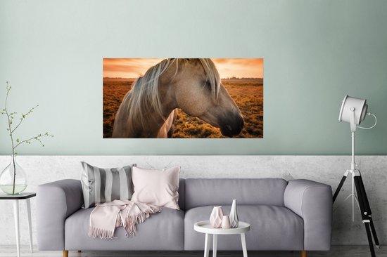 Poster Cheval - Animaux - Portrait - 120x60 cm