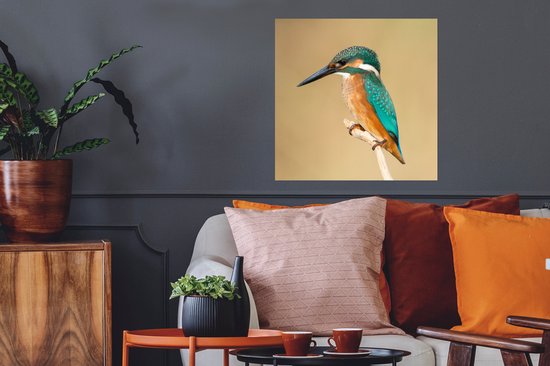 Affiche Martin-pêcheur - Animaux - Vogel - 50x50 cm
