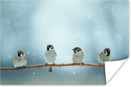 Poster Vogels - Mus - Sneeuw - Winter - 60x40 cm