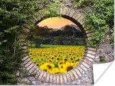 Affiche View - Fleurs - Tournesol - 40x30 cm