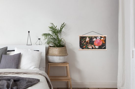 Porte-affiche avec affiche - Affiche scolaire - Automne - Champignon - Feuilles - Nature - 60x30 cm - Lattes vierges