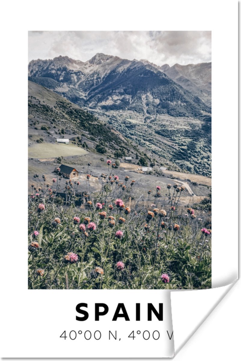 Poster Spanje - Bloemen - Bergen - 60x90 cm