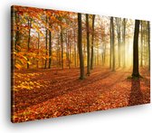 Canvas Schilderij Herfst Bos Zonnestraal | 30 x 20 cm | Wanddecoratie