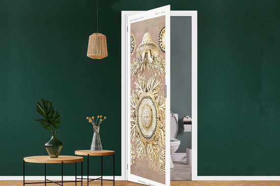 Sticker de porte Vintage - Ernst Haeckel - Méduse - Art - 90x235 cm - Affiche de porte