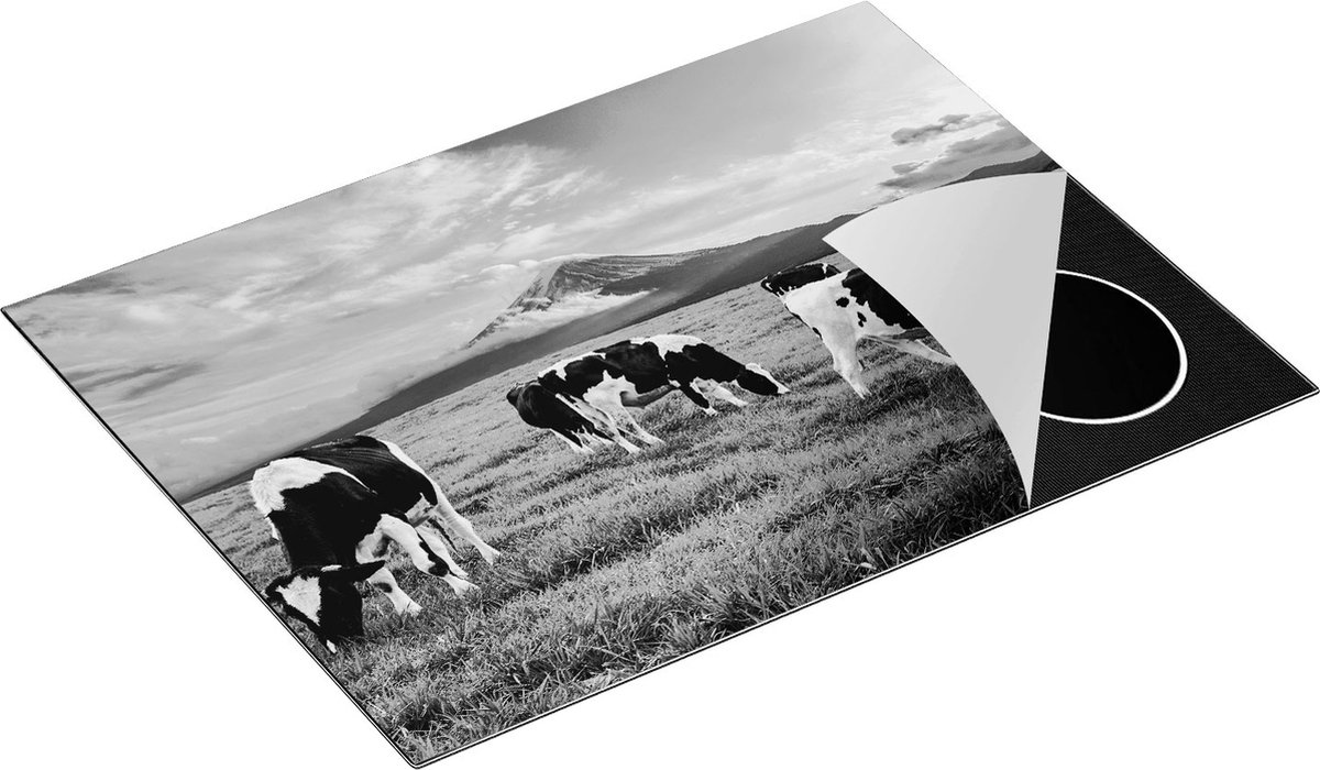 Chefcare Inductie Beschermer Koeien in de Wei - Zwart Wit - 70x50 cm - Afdekplaat Inductie - Kookplaat Beschermer - Inductie Mat