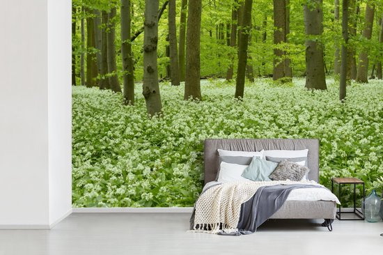 Papier peint photo vinyle - Fleurs Witte dans une forêt en fleurs du parc national du Hainich en Allemagne largeur 390 cm x hauteur 260 cm - Tirage photo sur papier peint (disponible en 7 tailles)