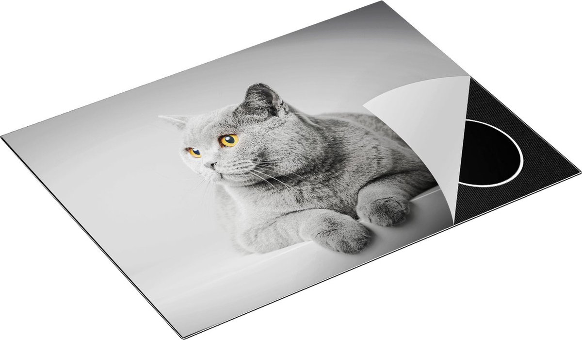 Chefcare Inductie Beschermer Grijze Kat met Oranje Ogen - 70x50 cm - Afdekplaat Inductie - Kookplaat Beschermer - Inductie Mat