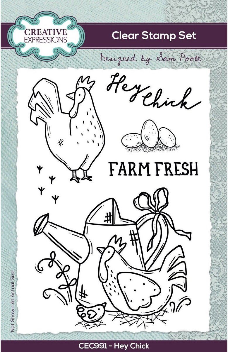 Creative Expressions Clear Stamp Set Hey Chick 15,24x10,16