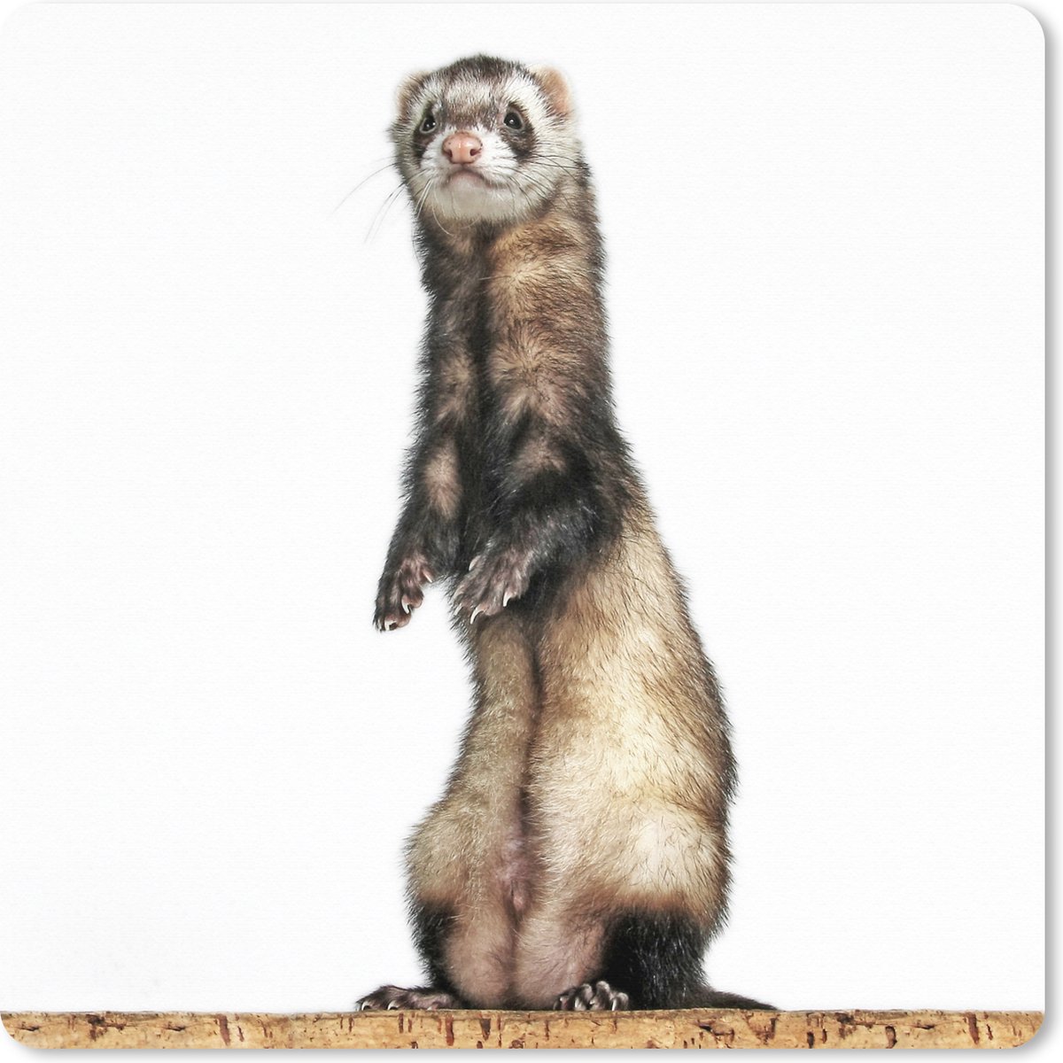 Muismat XXL 60x60 cm - Bureau onderlegger - Bureau mat Fret - Dieren - Vacht - Bureaumat - Gaming mousepad xl - Bureaulegger groot - Computer deskmat