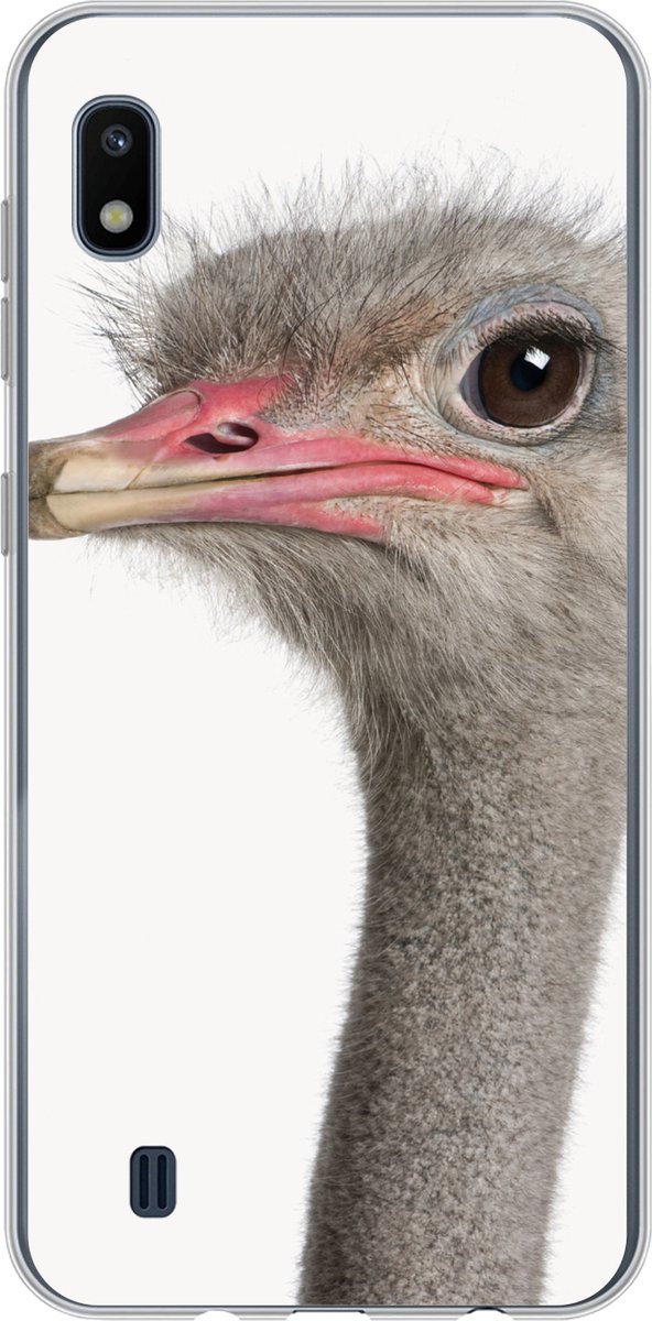 Telefoonhoesje Geschikt voor Samsung Galaxy A10 hoesje - Struisvogel - Dieren - Kinderen - Jongens - Meisjes - Vogel - Siliconen Telefoonhoesje Telefoonhoesje