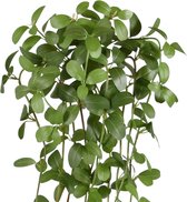 Jasmijn kunst hangplant 90cm - groen