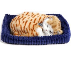 foto van Perfect petzzz Soft orange tabby