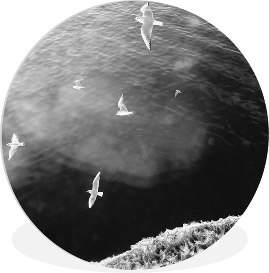 WallCircle - Wall Circle - Wall Circle Indoor - Mer des Wadden - Zwart - Wit - Mouette - 60x60 cm - Décoration murale - Peintures Ronds