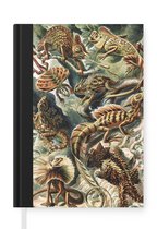Notitieboek - Schrijfboek - Vintage - Kunst - Ernst Haeckel - Salamanders - Dieren - Notitieboekje klein - A5 formaat - Schrijfblok