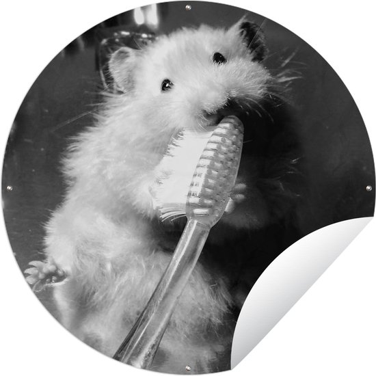 Tuincirkel Hamster die zijn tanden poetst - zwart wit - Ronde Tuinposter - Buiten