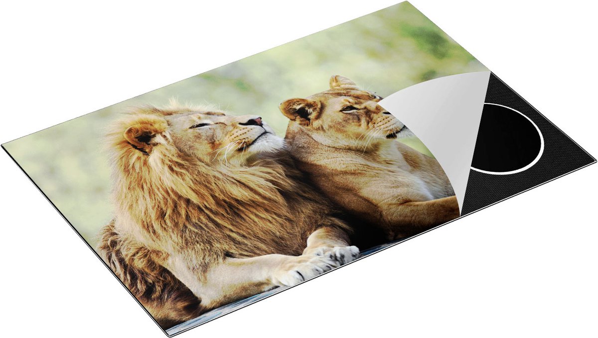 Chefcare Inductie Beschermer Leeuw en Leeuwin in het Groene Wild - 80x55 cm - Afdekplaat Inductie - Kookplaat Beschermer - Inductie Mat