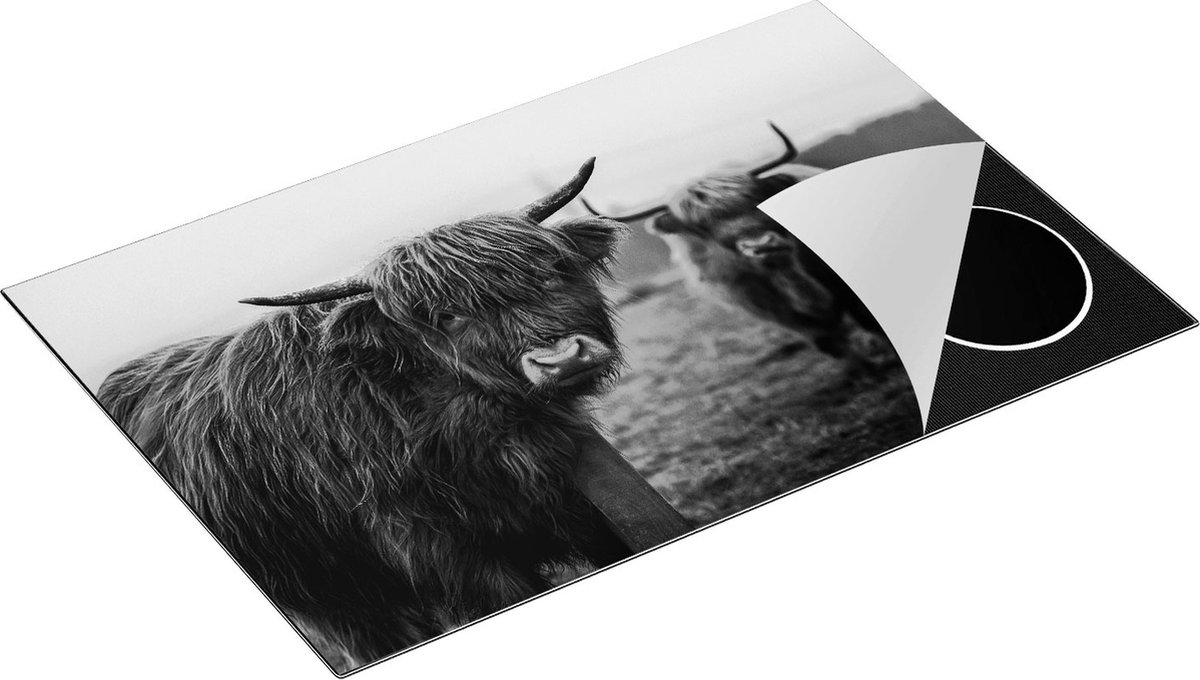 Chefcare Inductie Beschermer Twee Schotse Hooglanders in de Weide - Zwart Wit - 80x50 cm - Afdekplaat Inductie - Kookplaat Beschermer - Inductie Mat