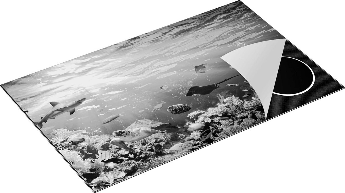 Chefcare Inductie Beschermer Vissen met Koraalrif onder Water - Zwart Wit - 85x50 cm - Afdekplaat Inductie - Kookplaat Beschermer - Inductie Mat