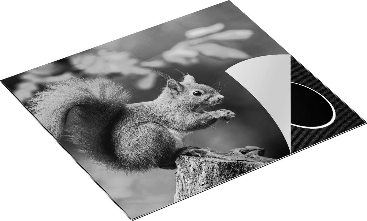 Chefcare Inductie Beschermer Eekhoorn op een Boomstam in het Bos - Zwart Wit - 60x50 cm - Afdekplaat Inductie - Kookplaat Beschermer - Inductie Mat