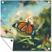 Tuinposter - Vlinder - Bloemen - Wit - Zon - Lente - Tuindoeken voor buiten - 50x50 cm - Tuindoek