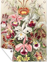 Tuinposter - Tuin - Bloemen - Kunst - Vintage - Schuttingdecoratie - Ernst Haeckel - 30x40 cm - Tuinschilderij - Wanddecoratie - Tuindoek - Buitenposter