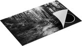 Chefcare Inductie Beschermer Voetpad in het Bos - Zwart Wit - 85x50 cm - Afdekplaat Inductie - Kookplaat Beschermer - Inductie Mat