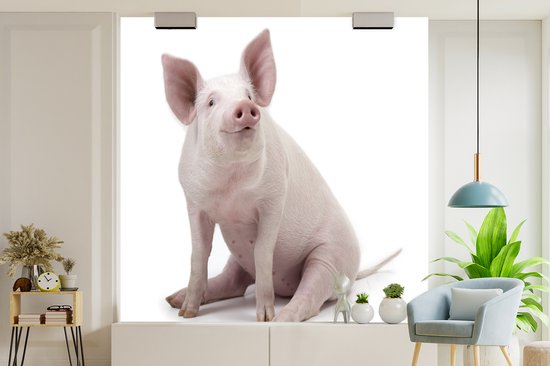 Papier peint photo peint photo vinyle - Porcinet pour fond blanc largeur 240 cm x hauteur 240 cm - Tirage photo sur papier peint (disponible en 7 tailles)