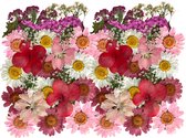 Geperste en gedroogde bloemen en bladeren - Roze, rood en wit - 60 stuks