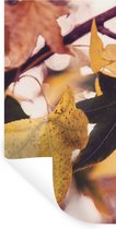 Stickers Stickers muraux - Feuilles - Esdoorn - Automne - Saisons - 60x120 cm - Feuille adhésive