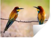 Muurstickers - Sticker Folie - Vogels - Bijeneter - Dieren - 80x60 cm - Plakfolie - Muurstickers Kinderkamer - Zelfklevend Behang - Zelfklevend behangpapier - Stickerfolie