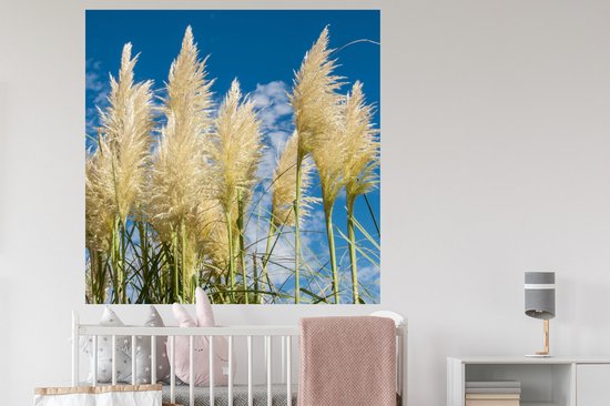 Stickers muraux - Herbe De Pampa - Plante - Nature - 120x120 cm - Film Adhésif XXL