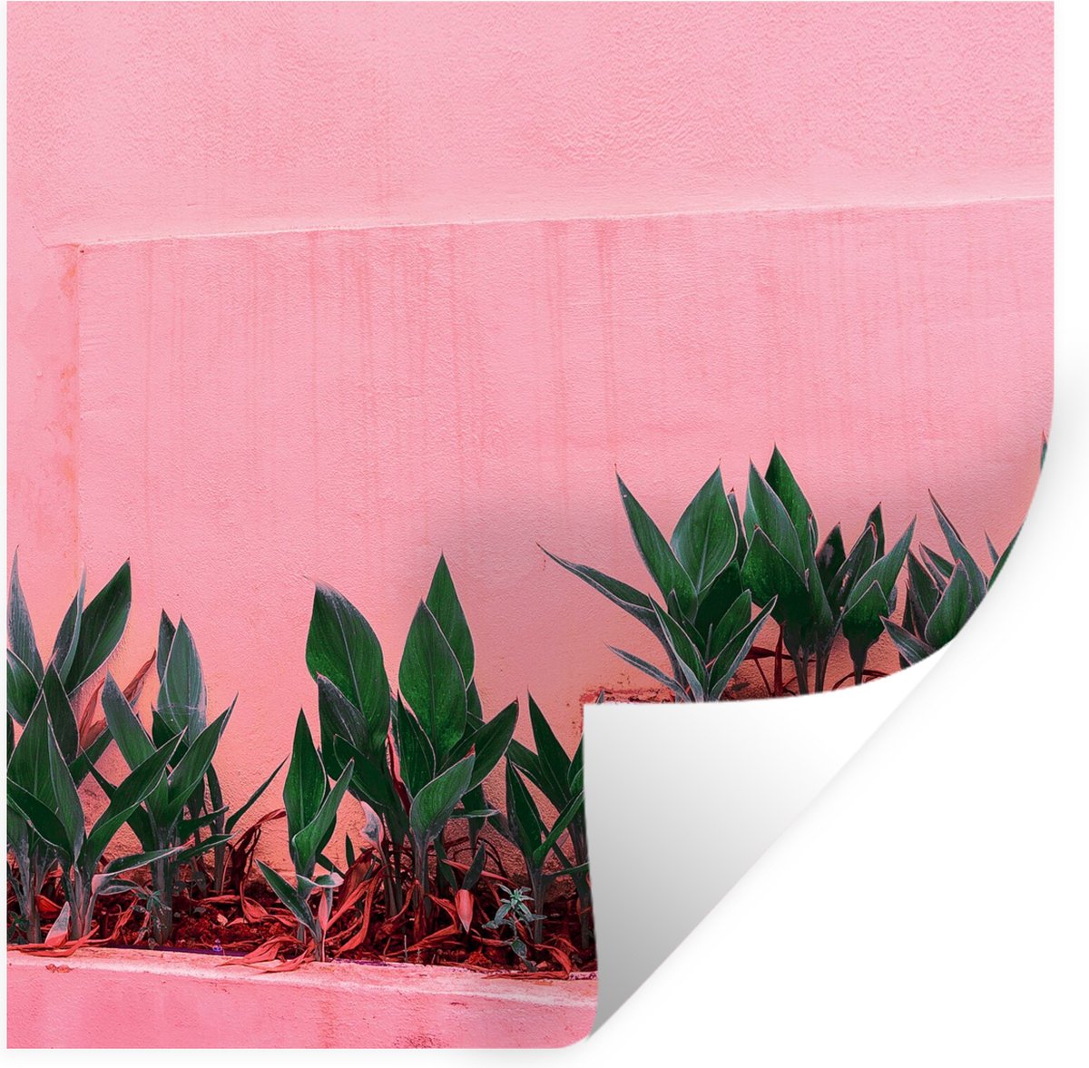 Muurstickers - Sticker Folie - Planten - Zomer - Verf - 120x120 cm - Plakfolie - Muurstick