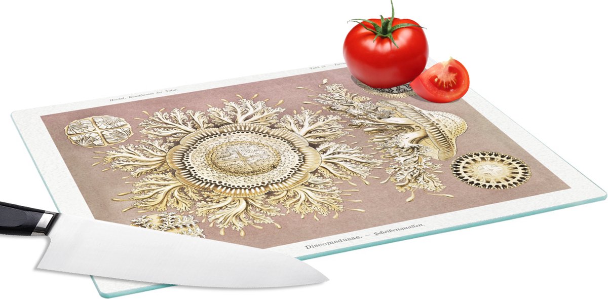 Glazen Snijplank - 39x28 - Vintage - Ernst Haeckel - Kwal - Kunst - Snijplanken Glas