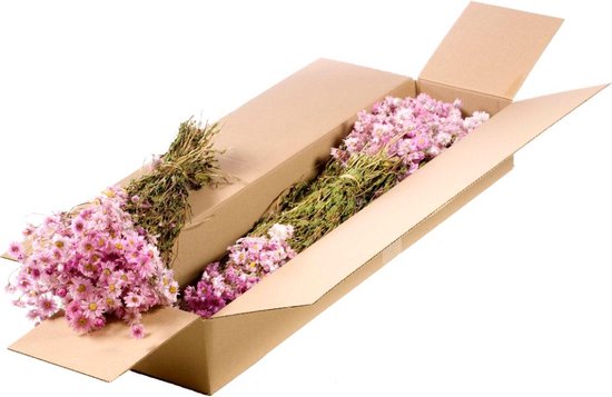 Auiremrti 33 Fleurs Séchées Pressées Naturelles – Véritables Pétales Pour Bricolage, Résine, Ongles, Savon, Scrapbooking, Décoration