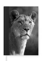 Notitieboek - Schrijfboek - Portret van een jonge leeuwin tegen een vervaagde achtergrond - zwart wit - Notitieboekje klein - A5 formaat - Schrijfblok