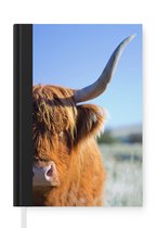 Notitieboek - Schrijfboek - Schotse hooglander - Portret - Horen - Notitieboekje klein - A5 formaat - Schrijfblok