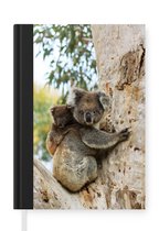 Notitieboek - Schrijfboek - Koala's - Kind - Boom - Kinderen - Jongetje - Meiden - Notitieboekje klein - A5 formaat - Schrijfblok